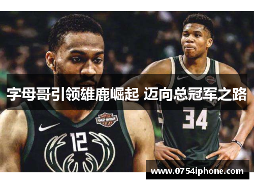 字母哥引领雄鹿崛起 迈向总冠军之路